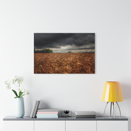 U R There Photography Garner Road Hidden White Rustic Farmhouse Acrylic Wall Print