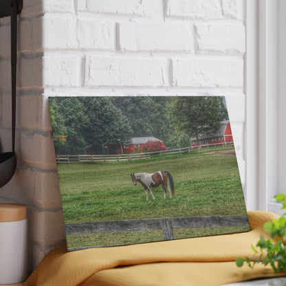 U R There Photography Painted Pony in Pasture Rustic Farmhouse Tempered-Glass Cutting Board