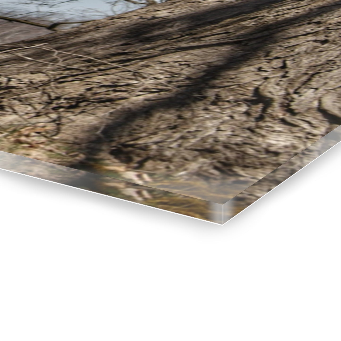 U R There Photography Hill Road Red Rustic Farmhouse Acrylic Wall Print