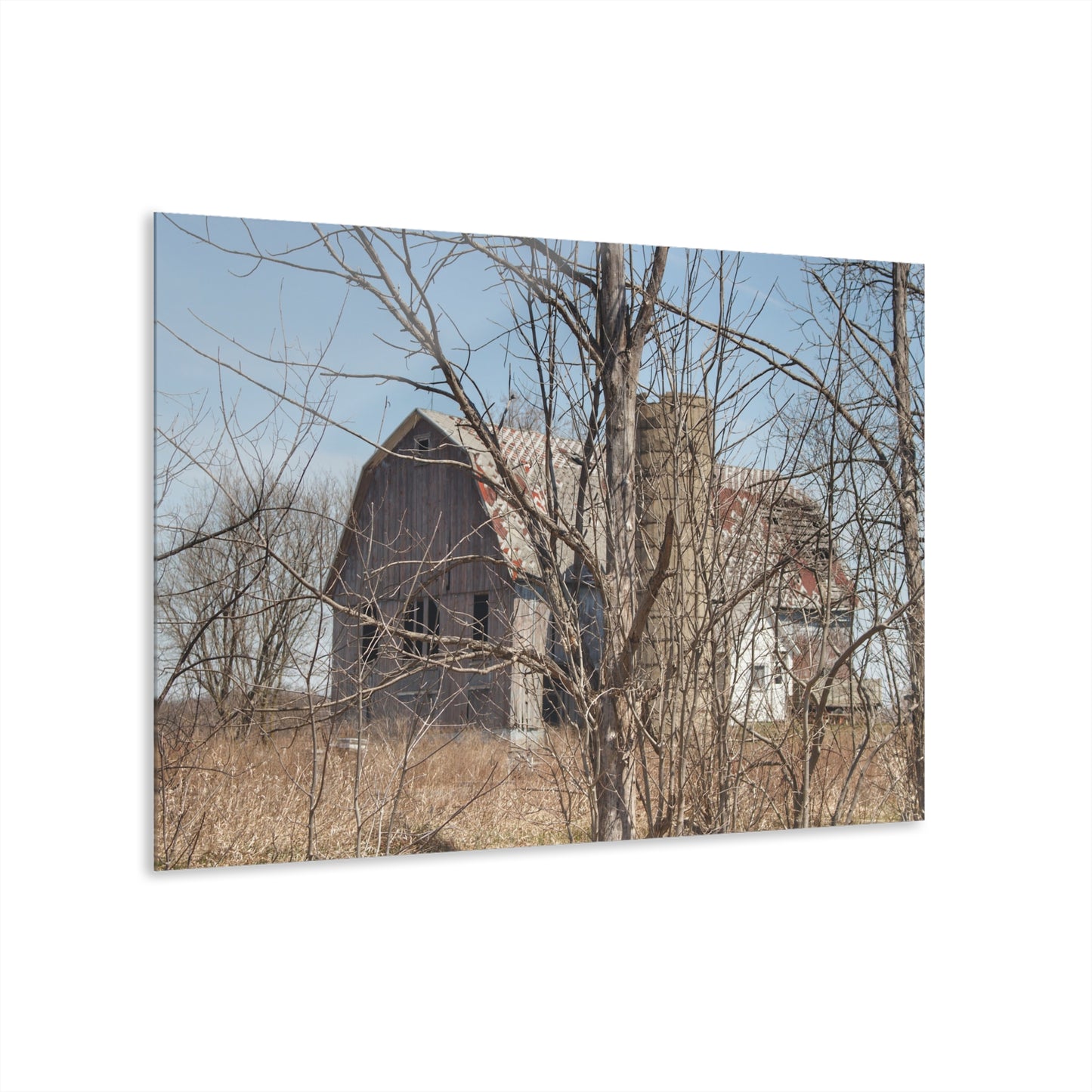 U R There Photography Hill Road Hidden Grey III Rustic Farmhouse Acrylic Wall Print