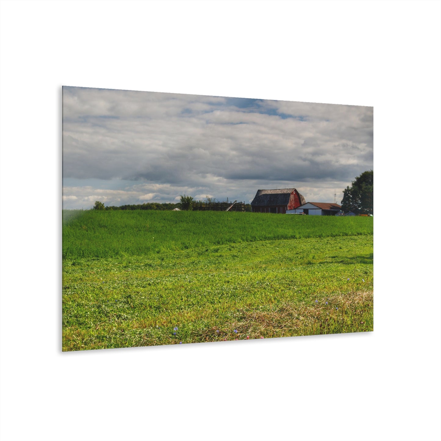 U R There Photography Across the Field in Kingston Rustic Farmhouse Acrylic Wall Print