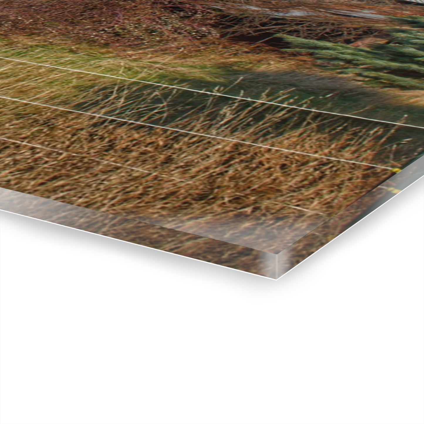 U R There Photography Dodge Road Grey I Rustic Farmhouse Acrylic Wall Print