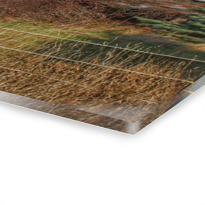 U R There Photography Dodge Road Grey I Rustic Farmhouse Acrylic Wall Print