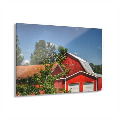 U R There Photography McKeen Lake Road Reds I Rustic Farmhouse Acrylic Wall Print