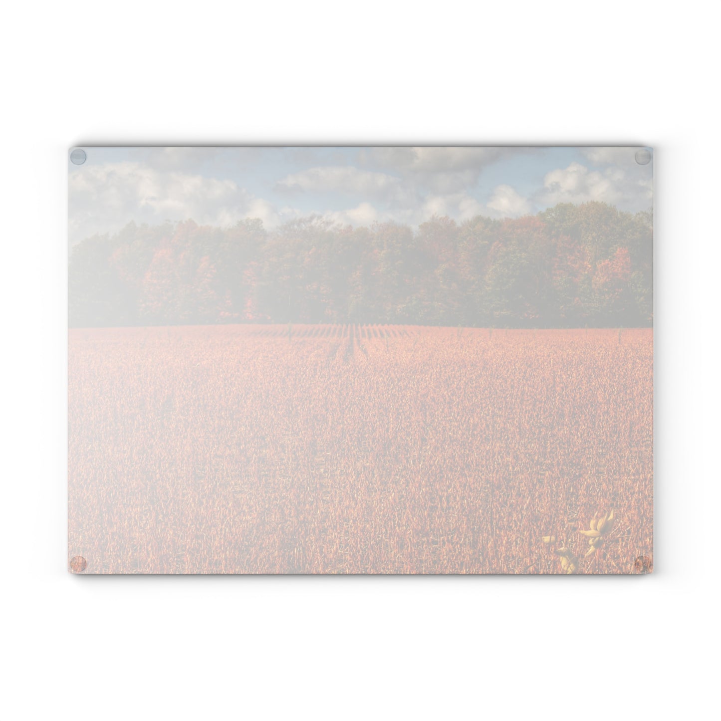 U R There Photography Fall on Murphy Lake I Rustic Farmhouse Tempered-Glass Cutting Board