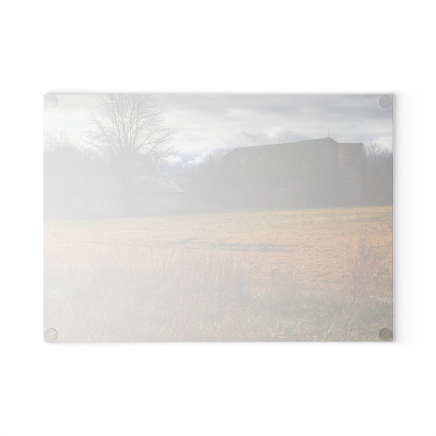 U R There Photography Fields of Golden Clover Rustic Farmhouse Tempered-Glass Cutting Board