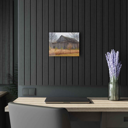 U R There Photography Leix Road Forgotten Grey I Rustic Farmhouse Acrylic Wall Print