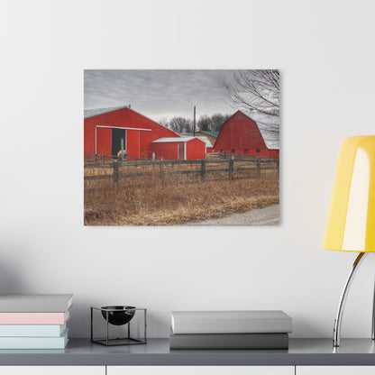 U R There Photography January Reds Rustic Farmhouse Acrylic Wall Print