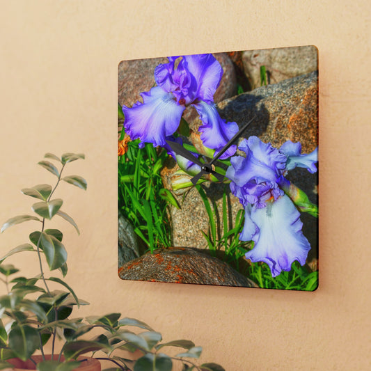 Rustic Farmhouse Wall Clock featuring Saint Hugo Iris