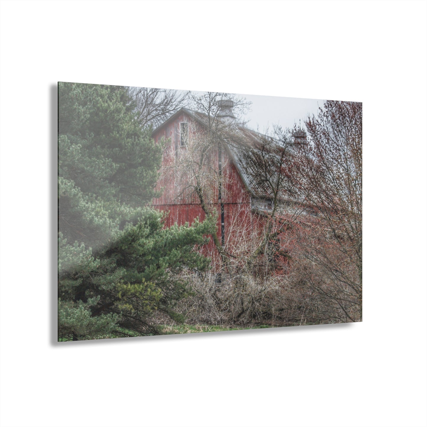 U R There Photography Morris Road Hidden Rustic Farmhouse Acrylic Wall Print