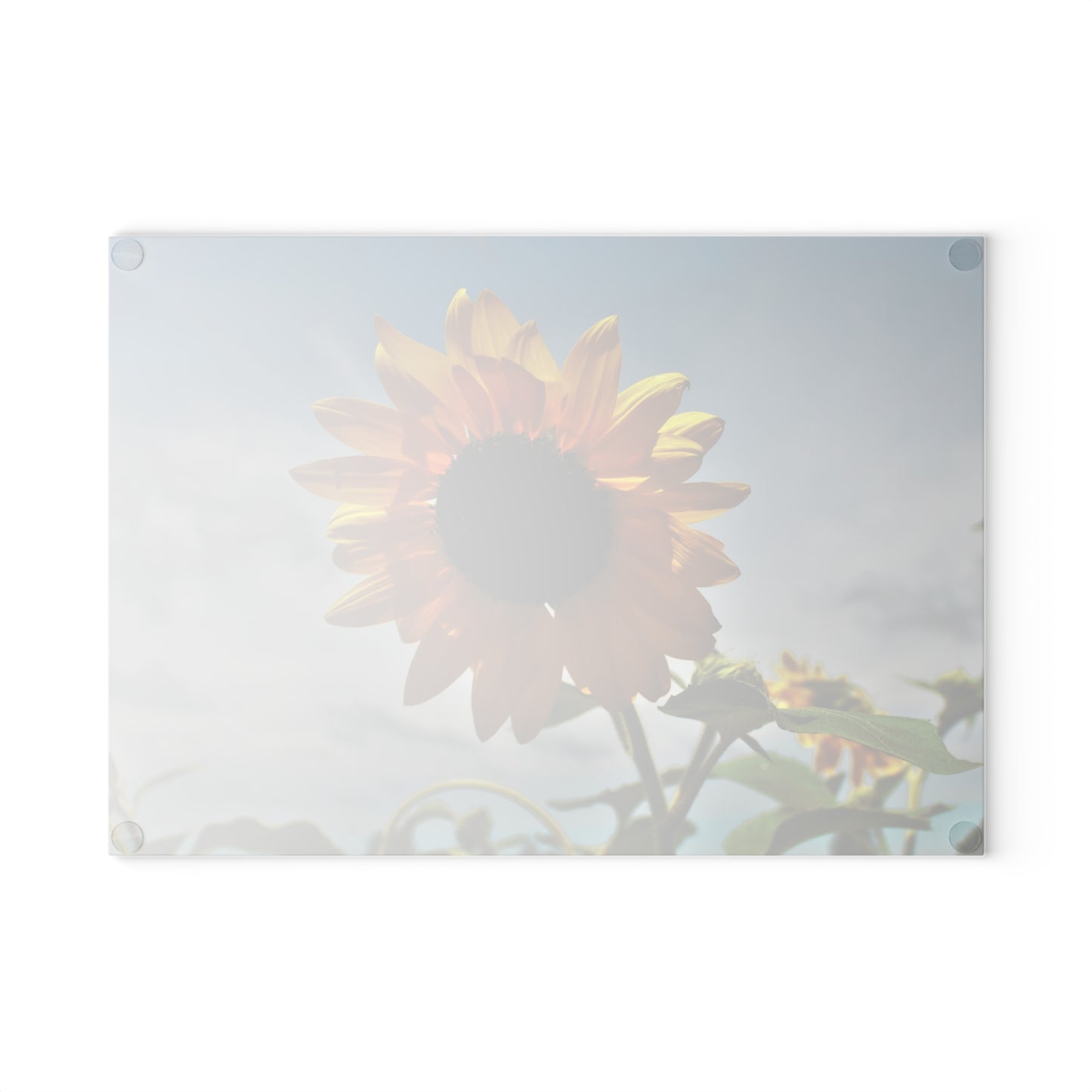 U R There Photography Awakening Sunflower Rustic Farmhouse Tempered-Glass Cutting Board
