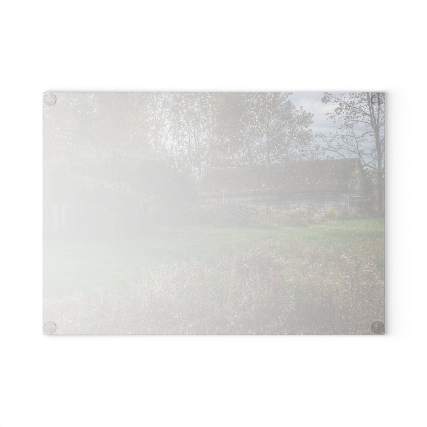 U R There Photography Grey Shack of Elmwood Rustic Farmhouse Tempered-Glass Cutting Board