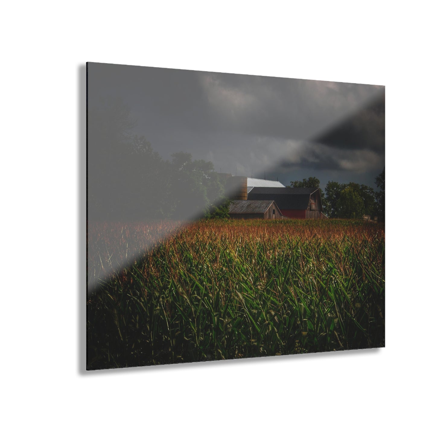U R There Photography Bishop Road Beyond the Corn Rustic Farmhouse Acrylic Wall Print