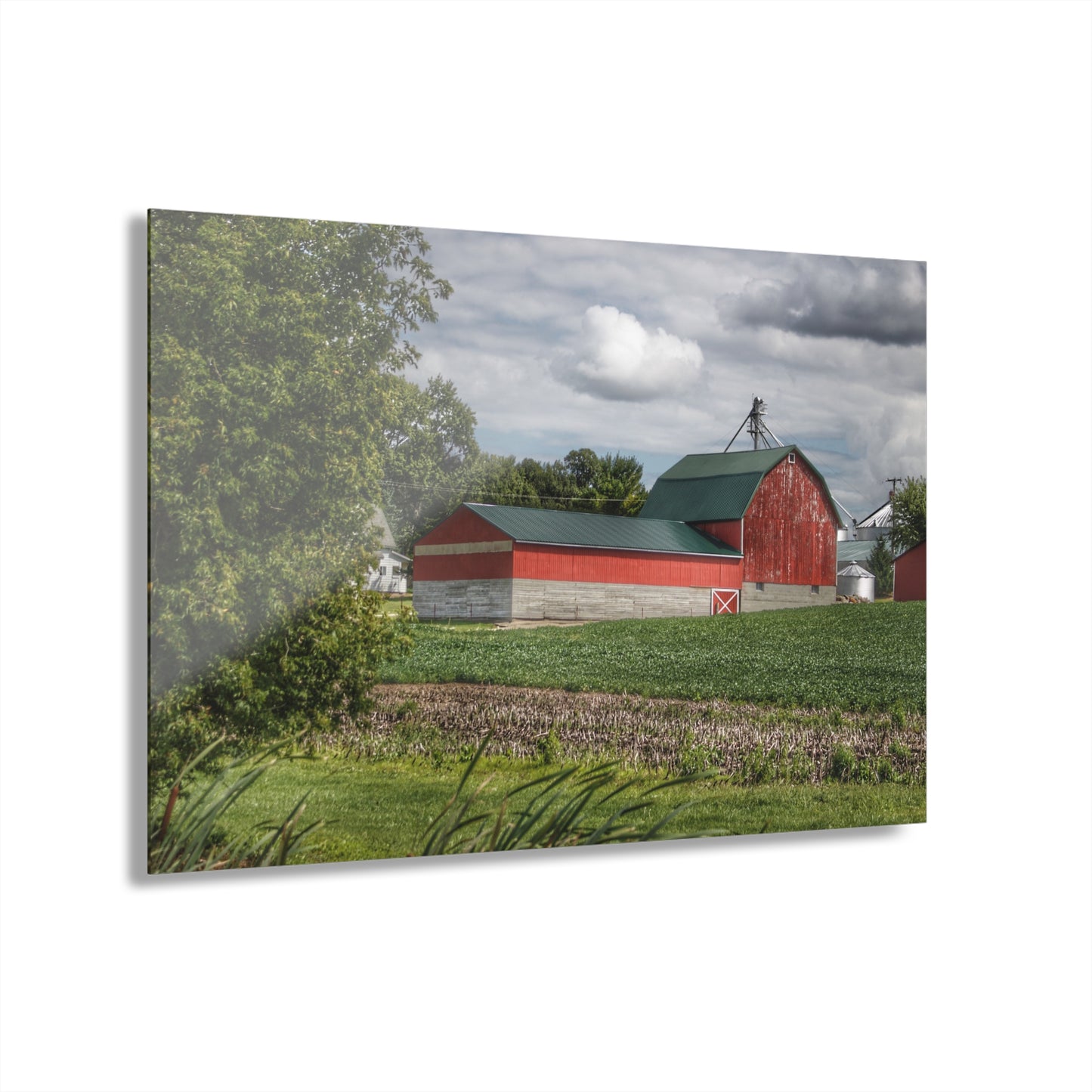 U R There Photography Haines Road Cornfield Reds Rustic Farmhouse Acrylic Wall Print