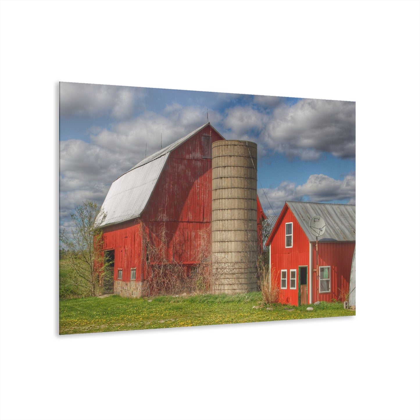 U R There Photography McDowell Road Reds I Rustic Farmhouse Acrylic Wall Print