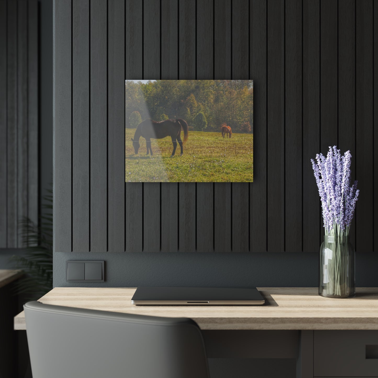 Barn Boutique Modern Farmhouse Acrylic Wall Print| Fargo Road Horses