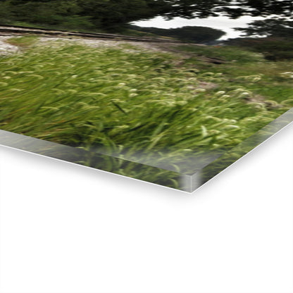 U R There Photography Michigan Rails Rustic Farmhouse Acrylic Wall Print