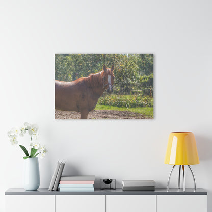 U R There Photography Froede Road Chestnut Brown Rustic Farmhouse Acrylic Wall Print