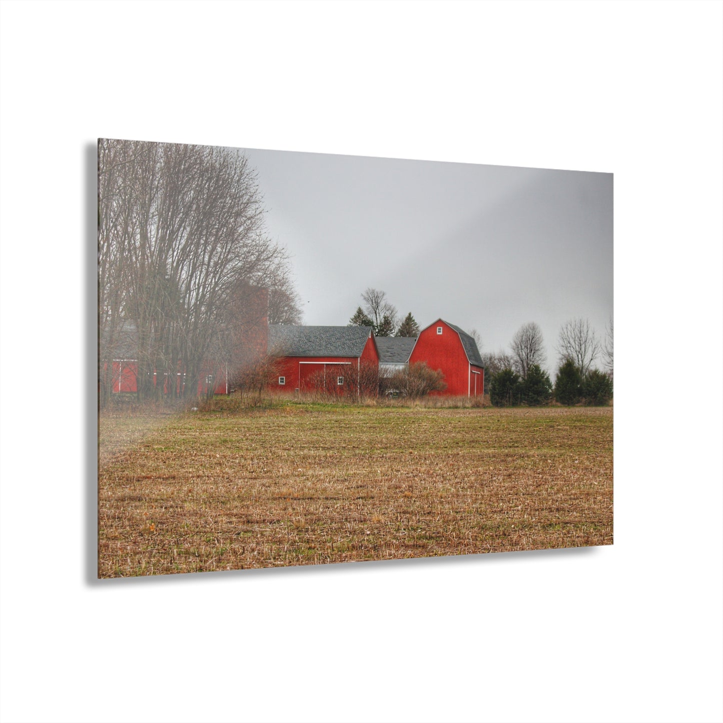 U R There Photography Kidder Road Reds Rustic Farmhouse Acrylic Wall Print
