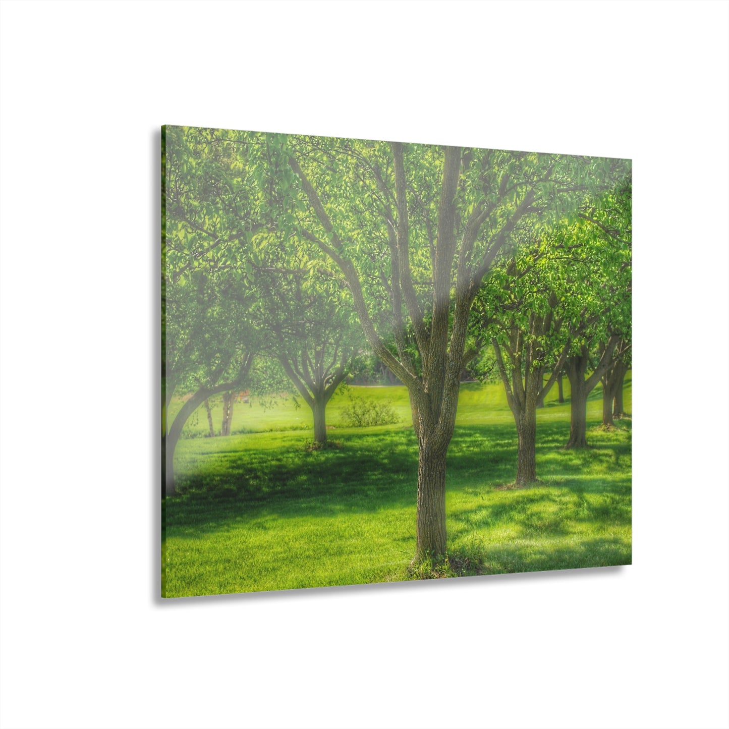 U R There Photography Spring Trees in Chartreuse Rustic Farmhouse Acrylic Wall Print