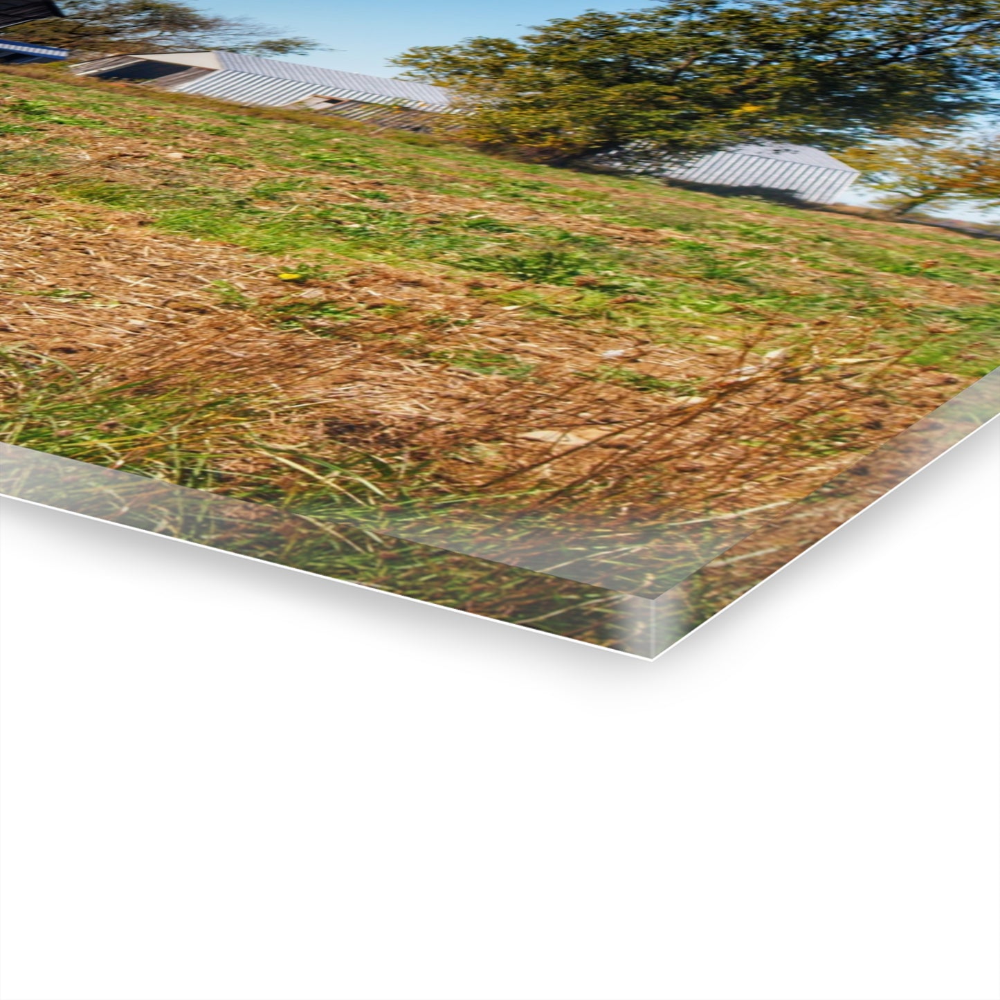 U R There Photography Freiberger Road Greys Rustic Farmhouse Acrylic Wall Print