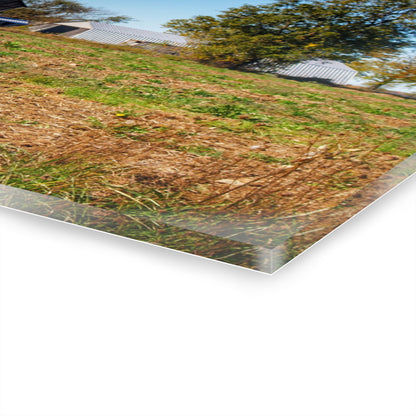 U R There Photography Freiberger Road Greys Rustic Farmhouse Acrylic Wall Print