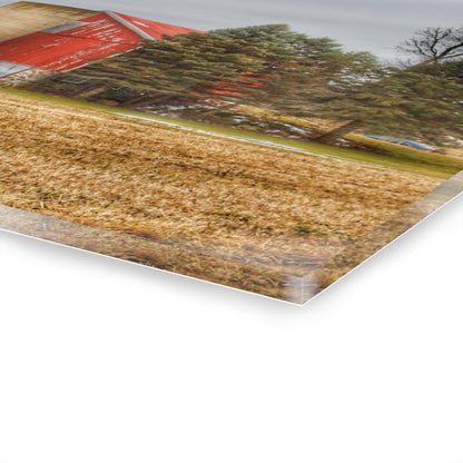 U R There Photography Laur Road Red Among the Pines I Rustic Farmhouse Acrylic Wall Print