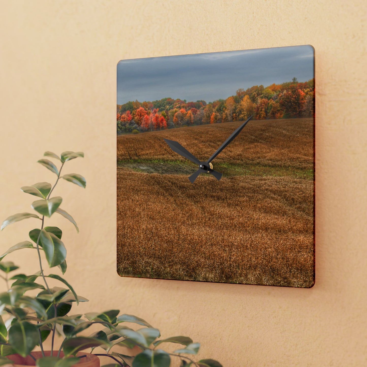 U R There Photography Colors of Fall on Lippincott Road Rustic Farmhouse Acrylic Analog Wall Clock