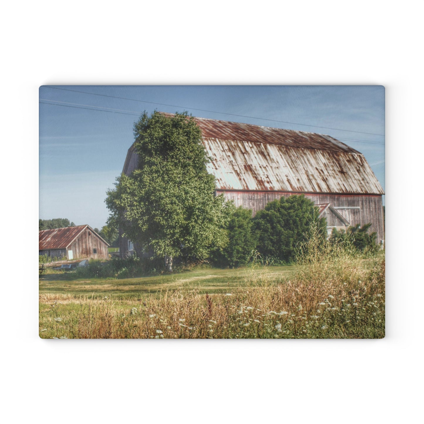 U R There Photography Barkley Road Red in Summer II Rustic Farmhouse Tempered-Glass Cutting Board