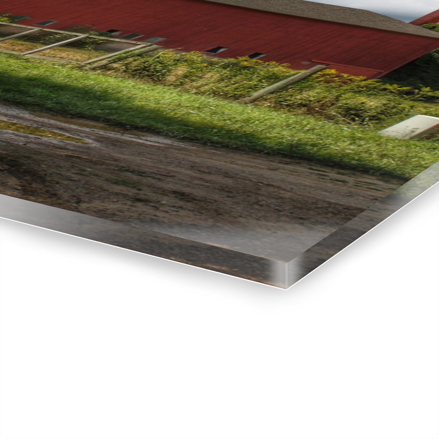 U R There Photography Metamora Road Red Rustic Farmhouse Acrylic Wall Print