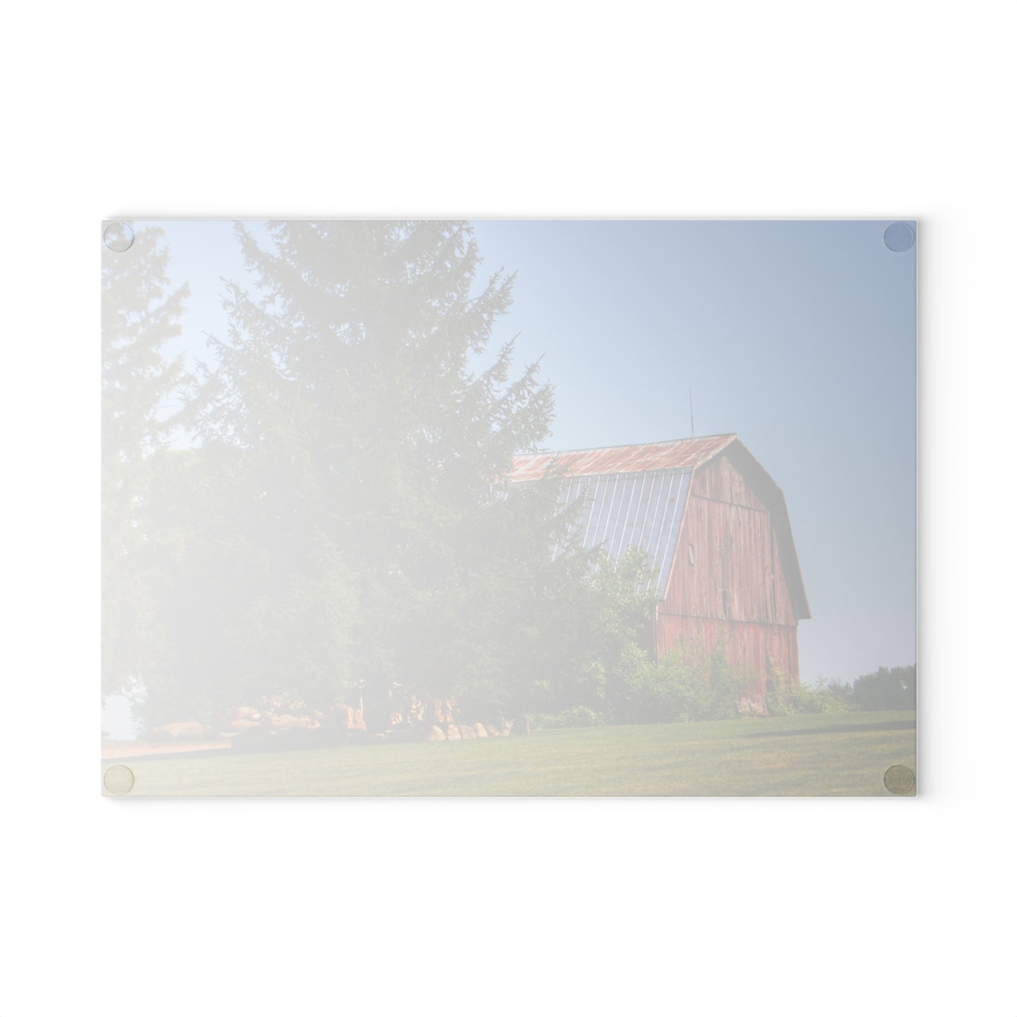 U R There Photography Mushroom Road Hidden Red Rustic Farmhouse Tempered-Glass Cutting Board