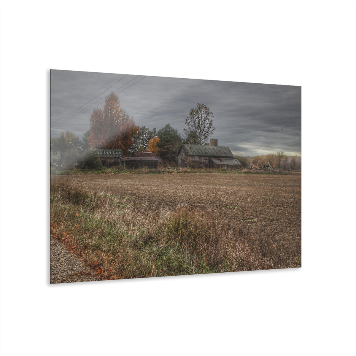 Birch Run Road Greys II | Wall Prints