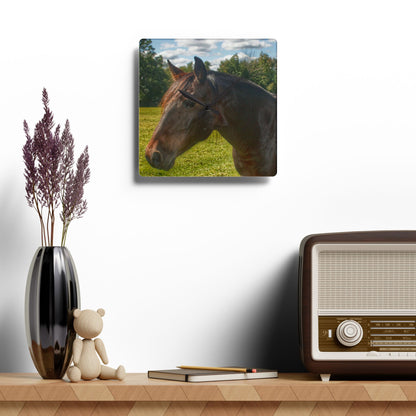 U R There Photography Brown Beauty I Rustic Farmhouse Acrylic Analog Wall Clock