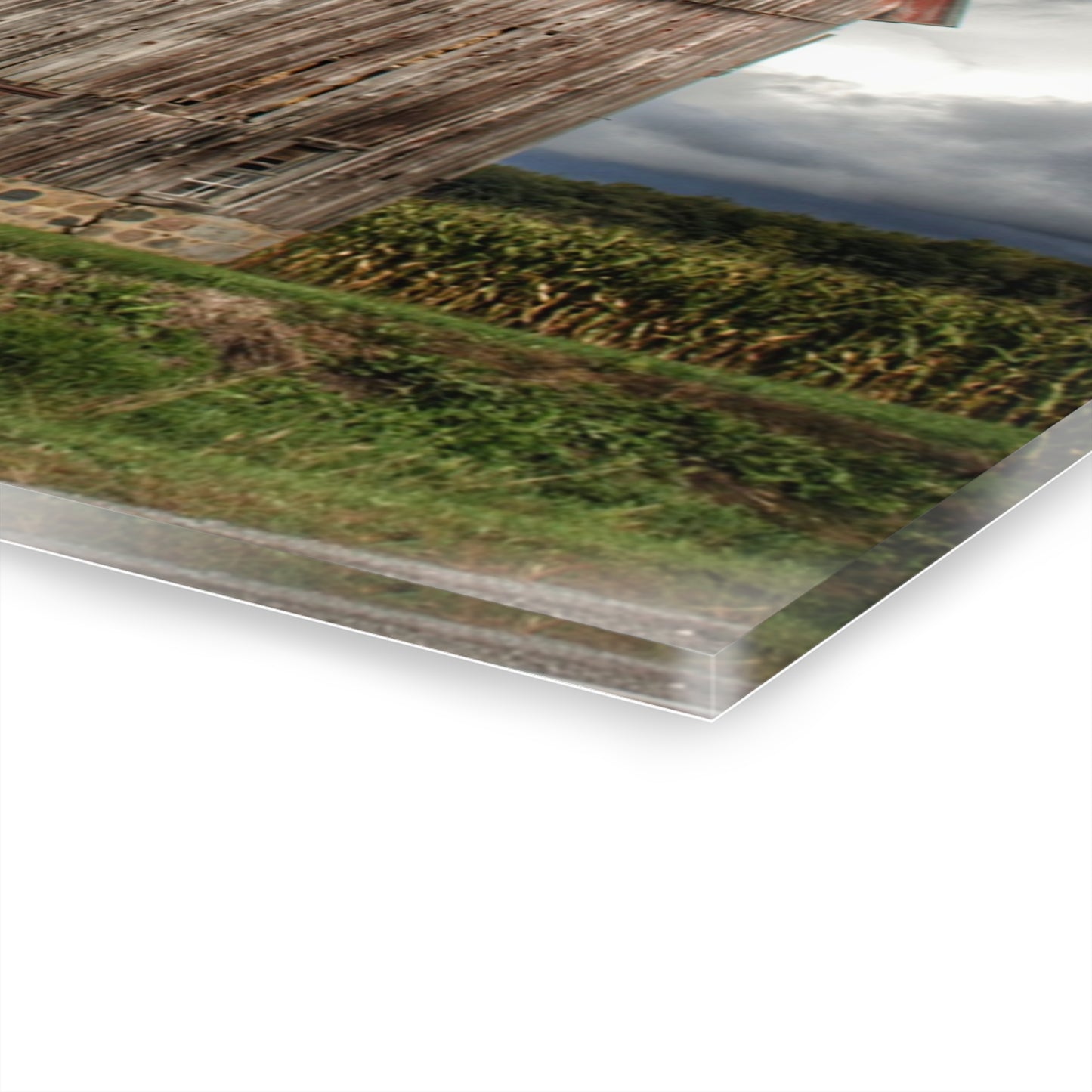 U R There Photography North Irish Red III Rustic Farmhouse Acrylic Wall Print