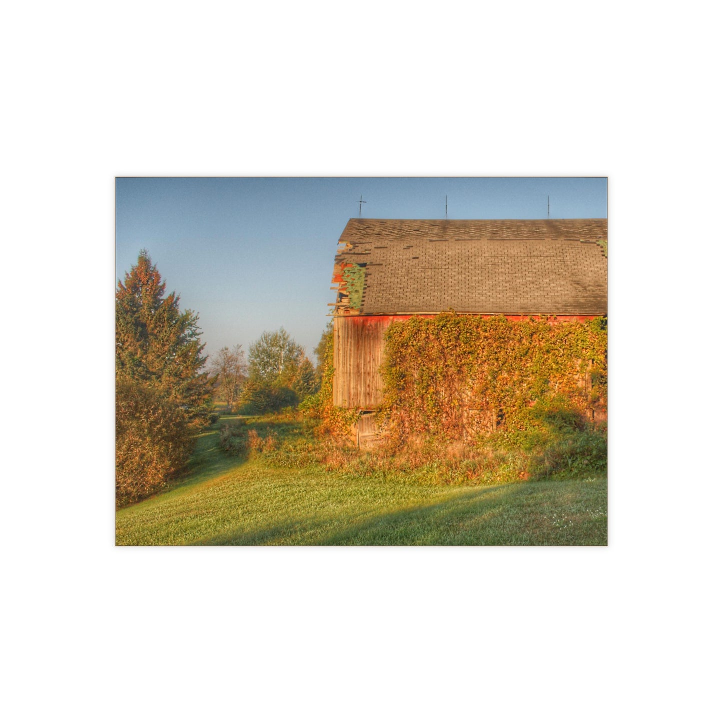 U R There Photography Bearanger Road Red Rustic Farmhouse Decorative Ceramic Tile