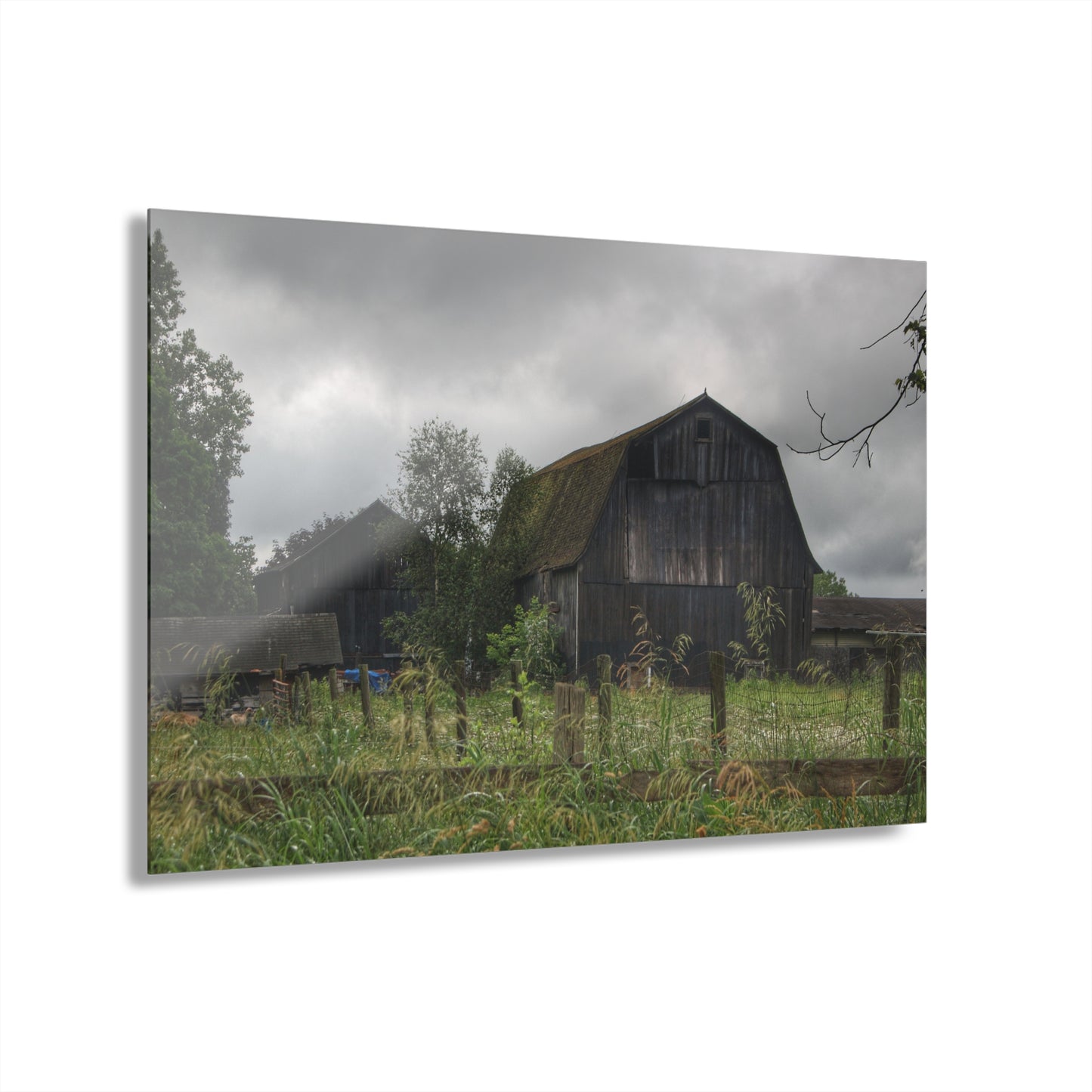 U R There Photography Greys of Summer Road Rustic Farmhouse Acrylic Wall Print