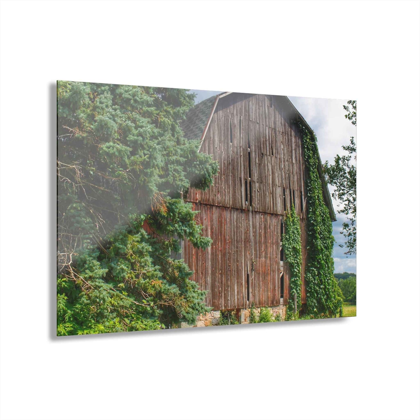 U R There Photography North Branch Ivy Grey I Rustic Farmhouse Acrylic Wall Print
