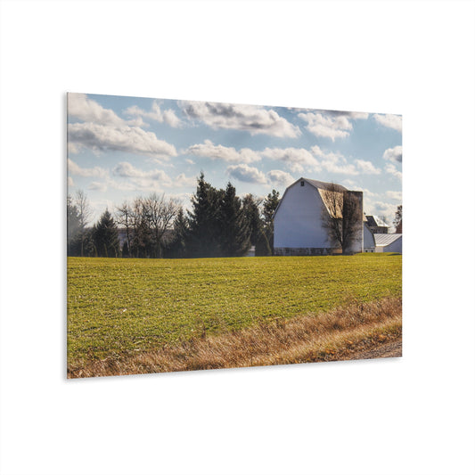 U R There Photography Sandusky White Rustic Farmhouse Acrylic Wall Print