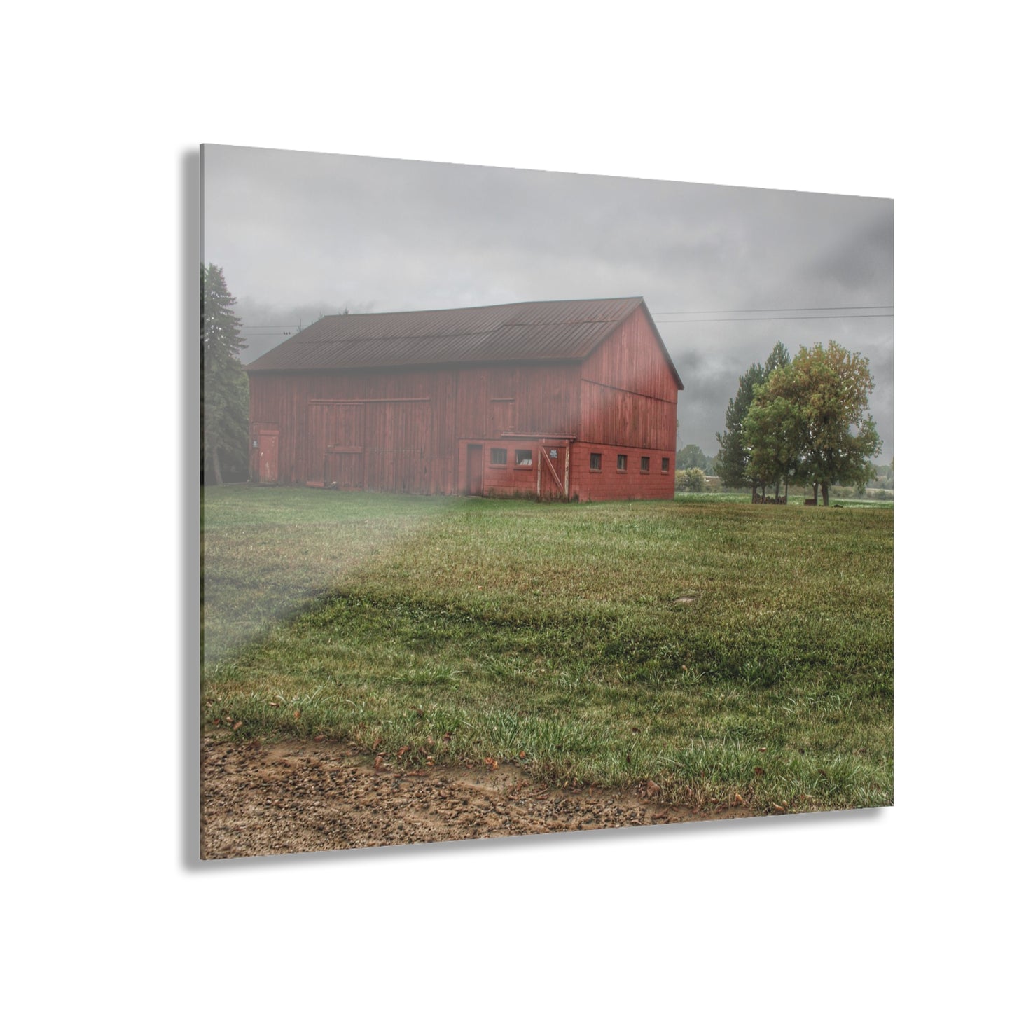 U R There Photography Birch Road Red Rustic Farmhouse Acrylic Wall Print