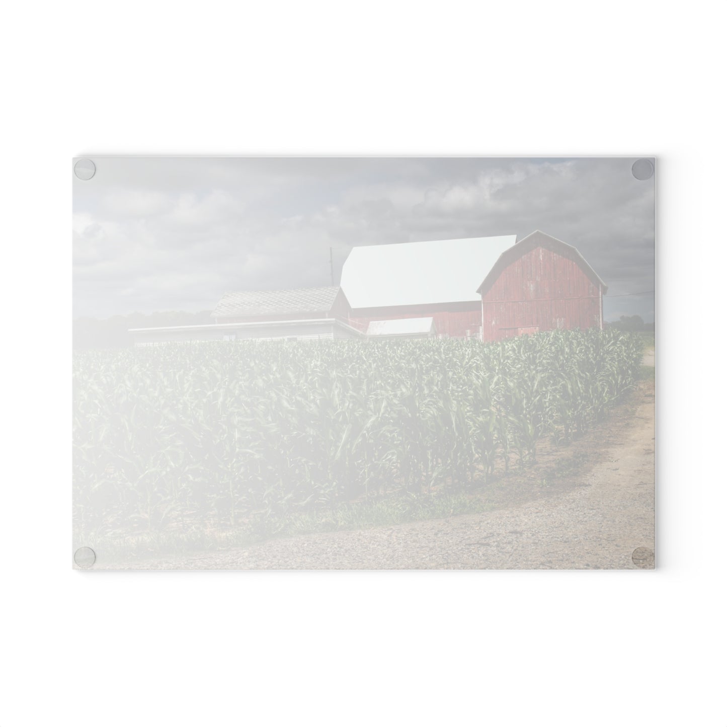 U R There Photography Millington Road Reds Rustic Farmhouse Tempered-Glass Cutting Board
