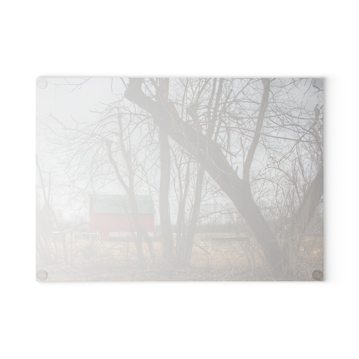 U R There Photography Daley Road Red II Rustic Farmhouse Tempered-Glass Cutting Board