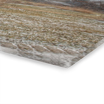 U R There Photography Mayville Road Grey Rustic Farmhouse Acrylic Wall Print