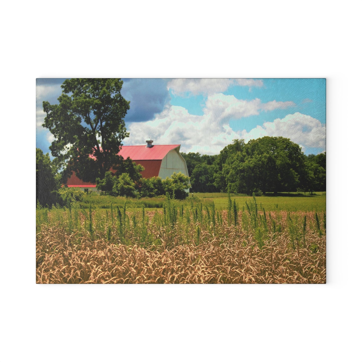 U R There Photography Northern White Rustic Farmhouse Tempered-Glass Cutting Board 8 "x 11"