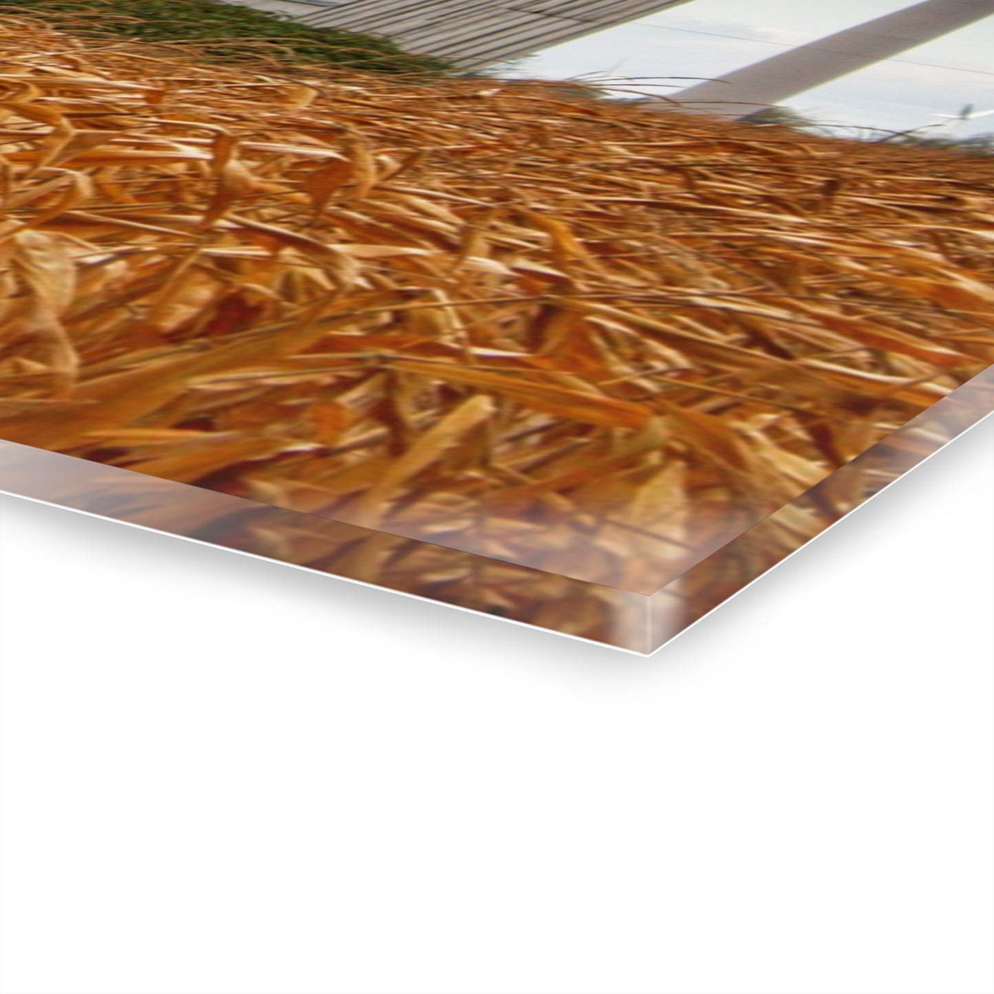 U R There Photography Merry Road Grey Rustic Farmhouse Acrylic Wall Print