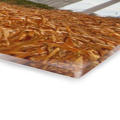 U R There Photography Merry Road Grey Rustic Farmhouse Acrylic Wall Print