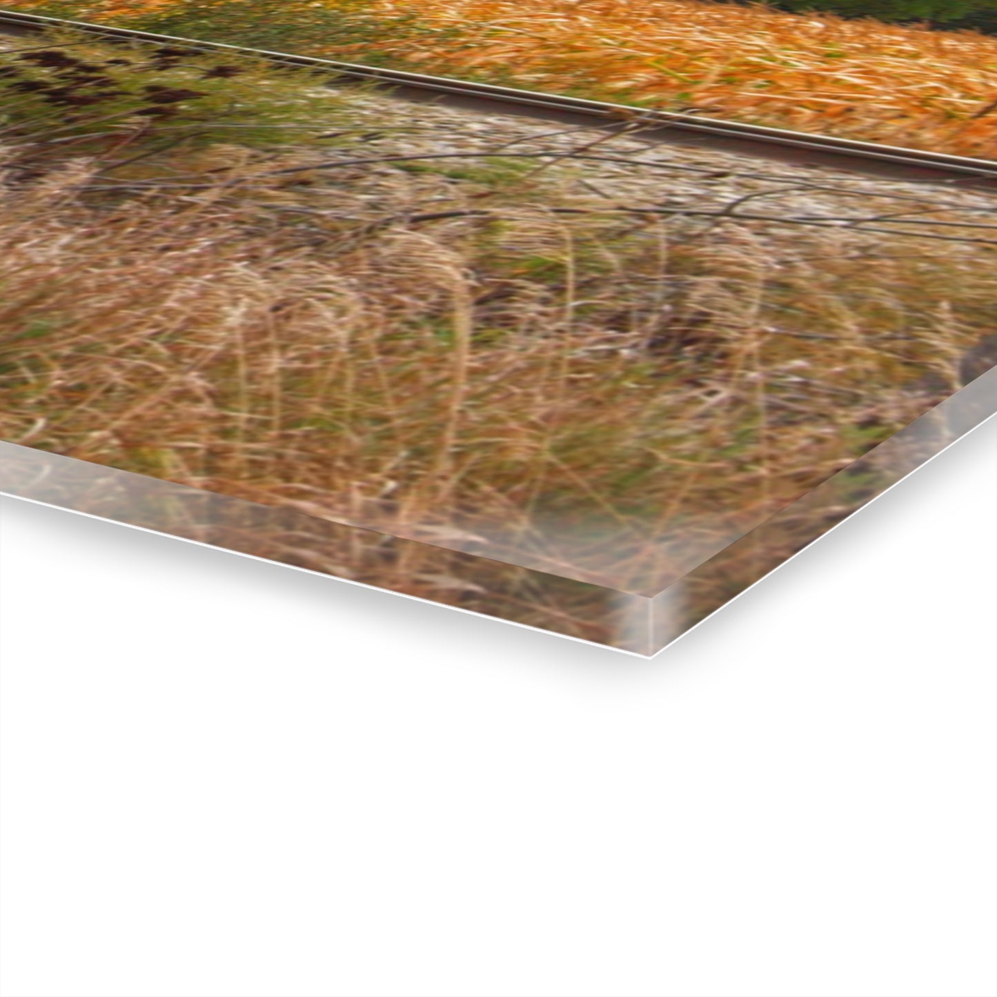 U R There Photography Reese Old Grey Beyond the Tracks Rustic Farmhouse Acrylic Wall Print