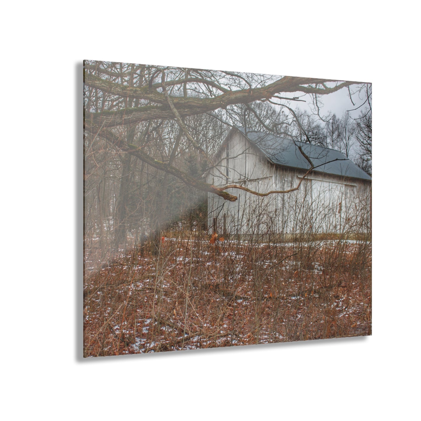 U R There Photography Norway Lake Hidden White Rustic Farmhouse Acrylic Wall Print