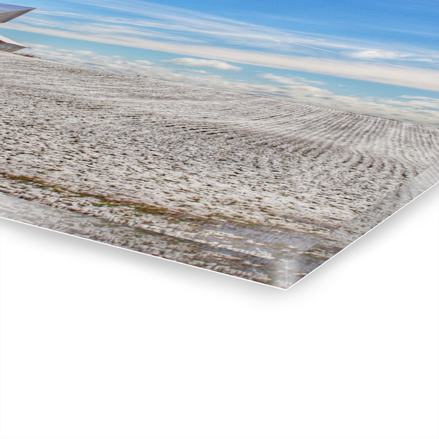 U R There Photography Early Spring Grey II Rustic Farmhouse Acrylic Wall Print