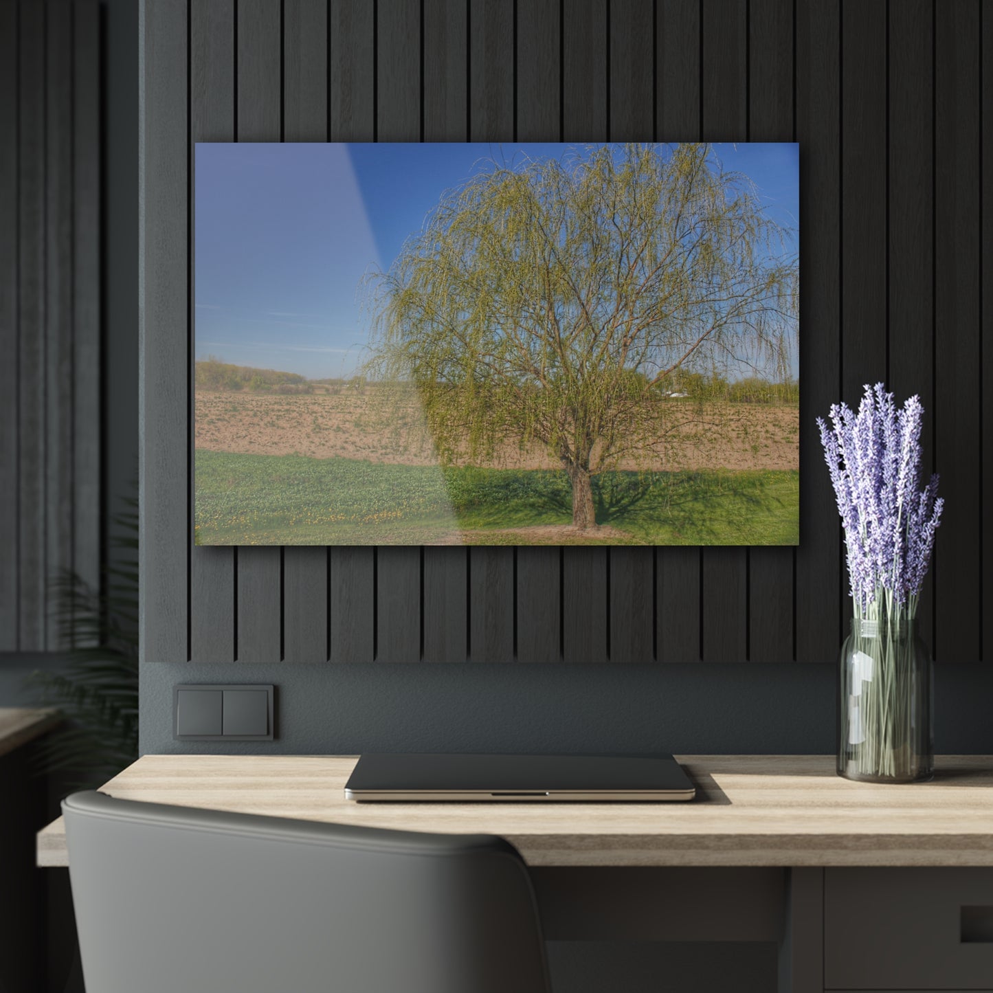 U R There Photography Spring Farm Willow Tree Rustic Farmhouse Acrylic Wall Print