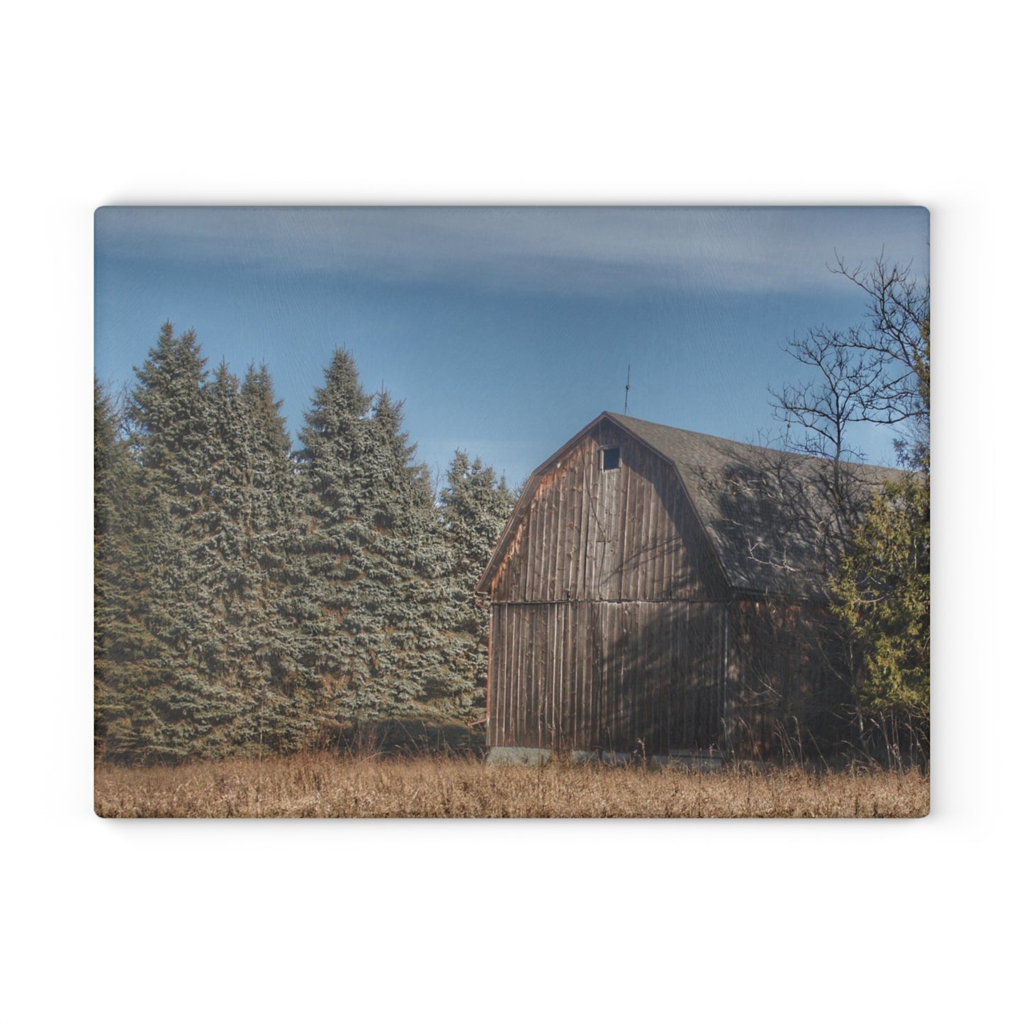 U R There Photography Washburn Old Grey Rustic Farmhouse Tempered-Glass Cutting Board